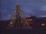 Focus Hawaii BYU-Hawaii Christmas Tree Lighting by Brigham Young University Hawaii