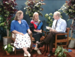 Focus Hawaii Aliance for Drama Education by Lance Chase, Debby Kermode, and Ann Sheridan