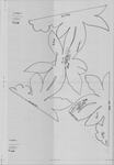 Lilikoi