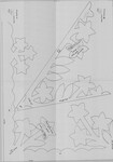 Pua Pake (Chrysanthemum)