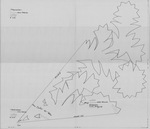 Waipunalau